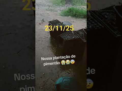 TEMPESTADE E CHUVA DE GRANIZO EM CONSELHEIRO MAIRINCK NORTE DO PARANÁ #granizo #tempestade