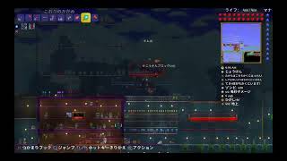 テラリア。何をしたか忘れそうだからメモがわり10。
