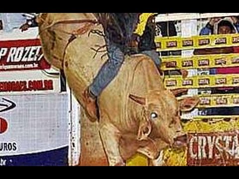 Minuto do Rodeio 46: Disputa Final Expo Fernandopolis e Final Copa Panther Cutiano 2015