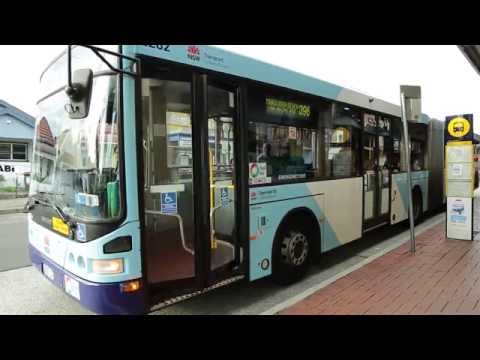 State Transit Bus Operator Recruitment