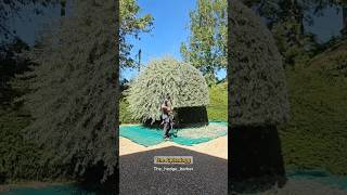 #curiosidade #jardim #jardinagem #trabalho