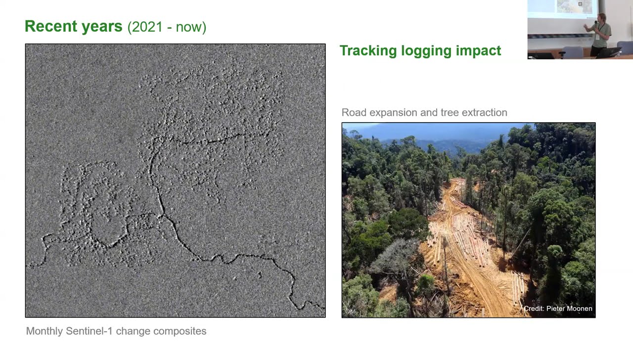 Johannes Reiche: Ten years of Advancing Forest Disturbance Monitoring with Sentinel-1 radar