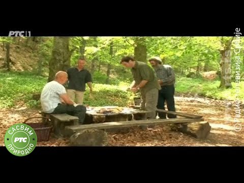 Sasvim prirodno: Besplatan ručak (Jovan Memedović)