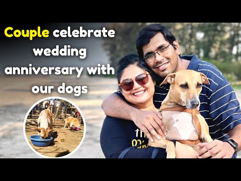Couple celebrate wedding anniversary with our dogs | Sponsor a Meal