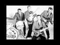 The Ventures - Strangers in the night