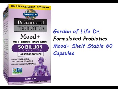 Garden of Life Dr  Formulated Probiotics Mood+ Shelf Stable 60 Capsules
