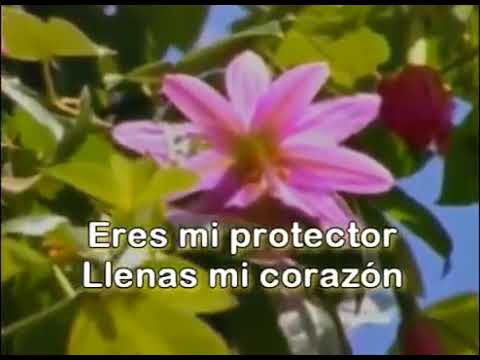 Eres mi protector   Maranatha Music