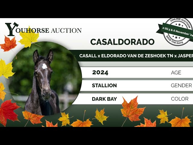 Mother Casaldorado ELDORADO VAN DE ZESHOEK x JASPER