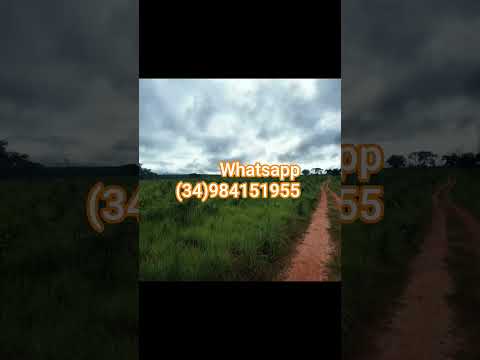 🐂 FAZENDA À VENDA – DUPLA APTIDÃO📍 Tesouro – MT📐 2.000 hectares