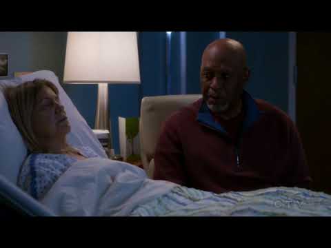 grey's anatomy s14x18 ollie is dead Dr Webber's friend