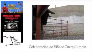 preview picture of video 'Largada en Selmes (Vidigueira - Portugal)'