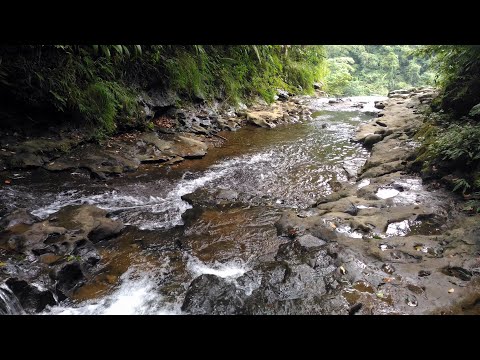 20190617 三貂嶺瀑布步道