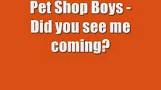 Pet Shop Boys   Did you see me coming