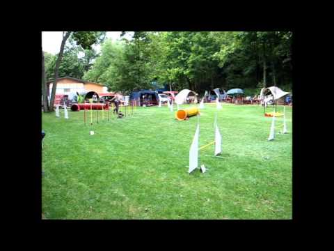 Oppenheim, 11.08.2013, J2 Lyra