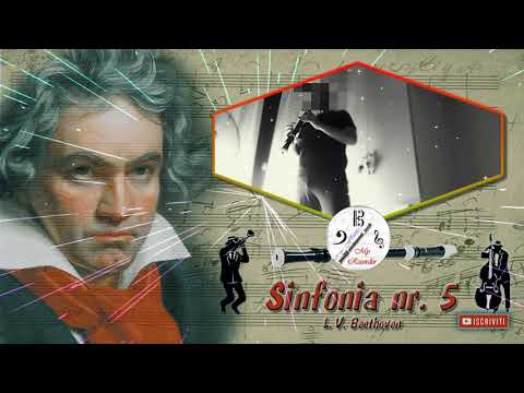 5^ Sinfonia (L. V. Beethoven), flauto dolce tenore, tenor recorder, flauta dulce, flûte à bec
