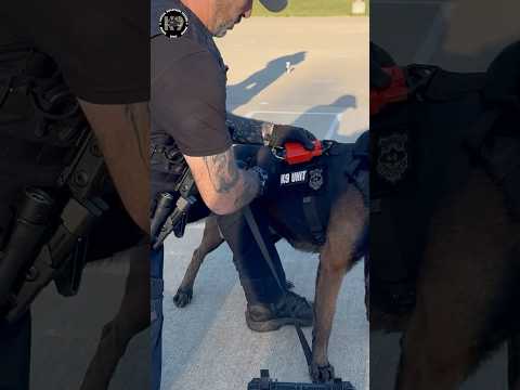 Redefining Tactical K9 Deployment