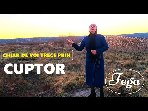 SORA FEGA DIN TOFLEA -  CHIAR DACA NU MA VA SCAPA  ( video )