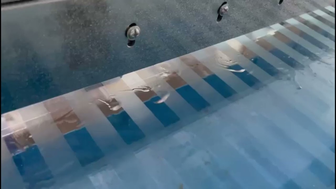 Air Knife for Glass Industry | Hisashi Industries