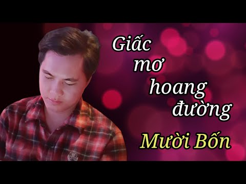 Giấc mơ hoang đường - Mười Bốn