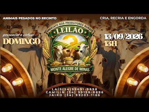 Leilões do Sindicato dos Produtores Rurais de Monte Alegre de Minas