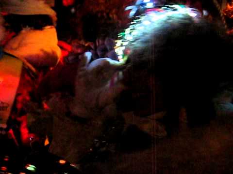 Oilsjt Carnaval 2012