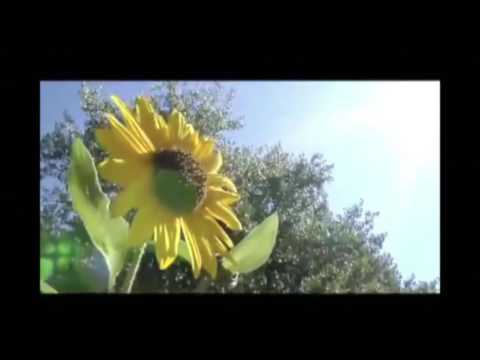 Shout to the North: 23% Faster