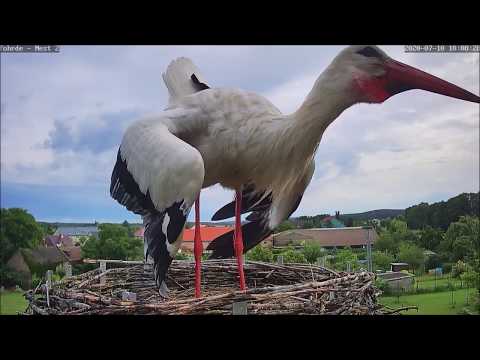 Klappern gehört zum Handwerk! Für alle Fans des Originaltons! 10.07.20