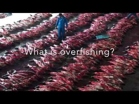 Overfishing