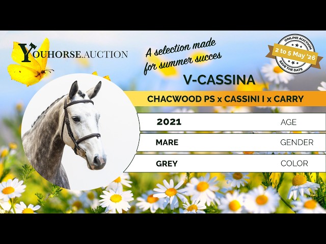 V-Cassina