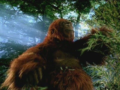 TRILOGY OF LIFE - Walking with Cavemen - "Gigantopithecus"
