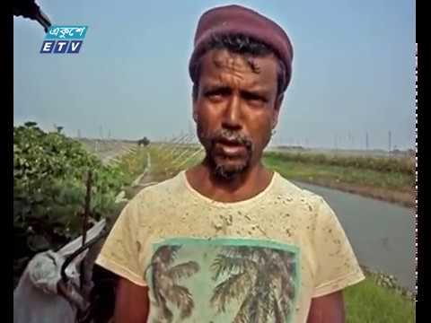 সবজি ও মৎস্যচাষ করে সাবলম্বী