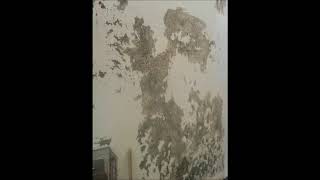 Powerwashing before painting