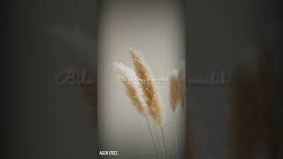 Download lagu status wa [aku yang akan pergi] supernova cover #shorts mp3