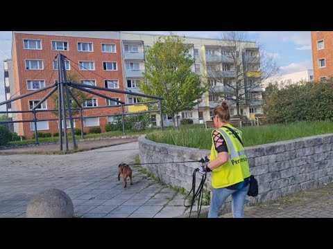 Manchmal ist weniger mehr