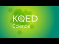 KQED WQED Logo History