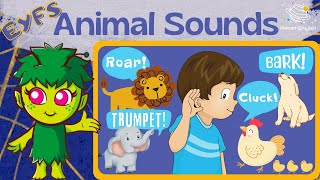 Let's Learn Animal Sounds | EYFS | Kindergarten Lessons