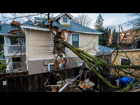 Winter storm, wind uproots trees all around Sacramento region