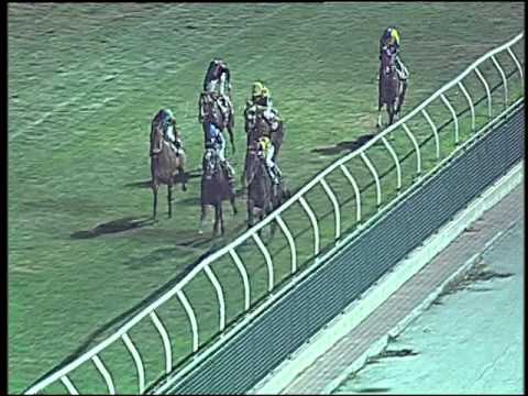 Galoppo 12/12/2015 - 6° corsa