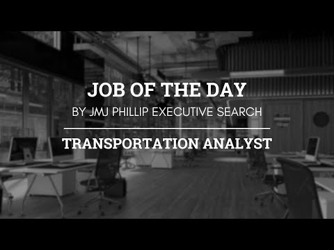 Analista de Transporte - Trabalho do Dia