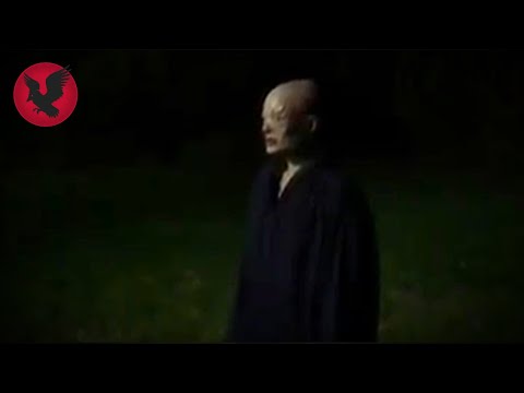 Het kijkt naar me zonder ogen - Het @Gr3gory88 Twitter verhaal