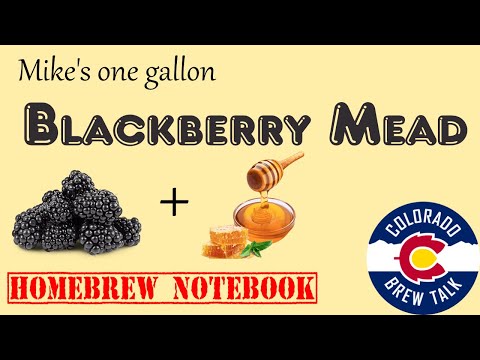 Mike's 1 Gallon Blackberry Mead Recipe and Tasting