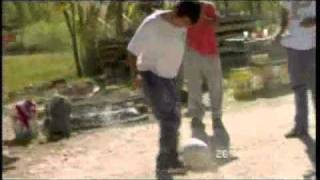 Wideo