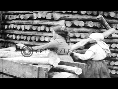 Women doing traditional men's work in the United Kingdom HD Stock Footage
