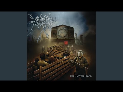 Video thumbnail for The Harvest Floor