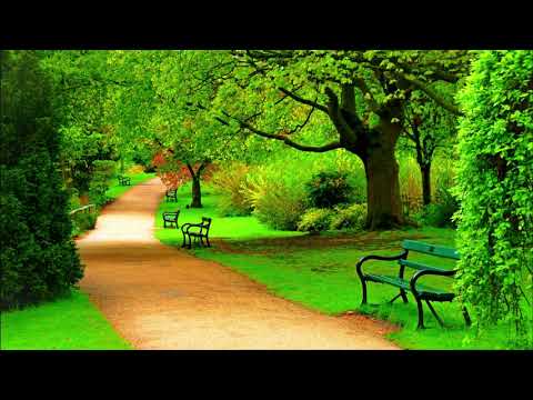 298. Bori se u borbi vere