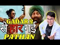 Gadar 2 vs Pathan Box Office Collection #gadar2 #pathan #srk #sunnydeol