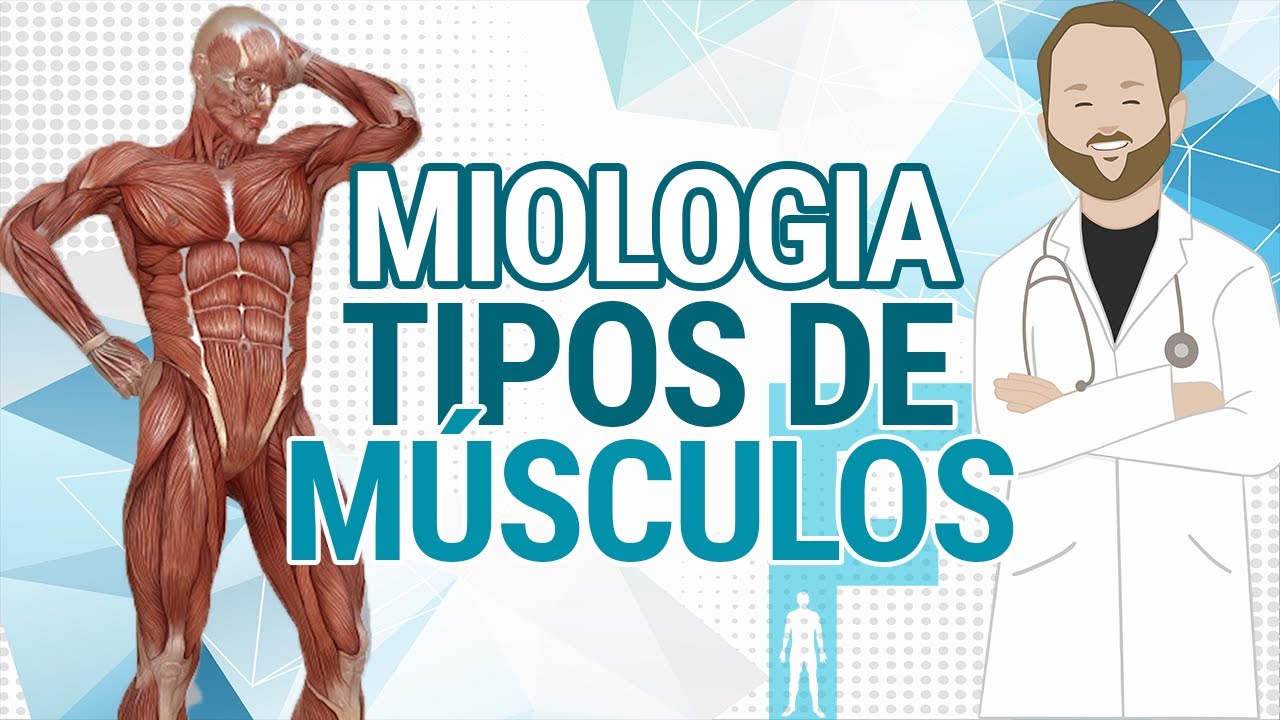MIOLOGIA - TIPOS DE MÚSCULOS