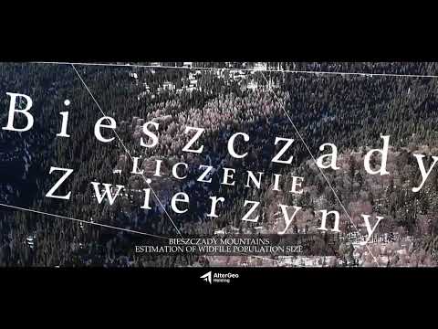 Bieszczady Mountains | Estimation of Wildlife Population Size