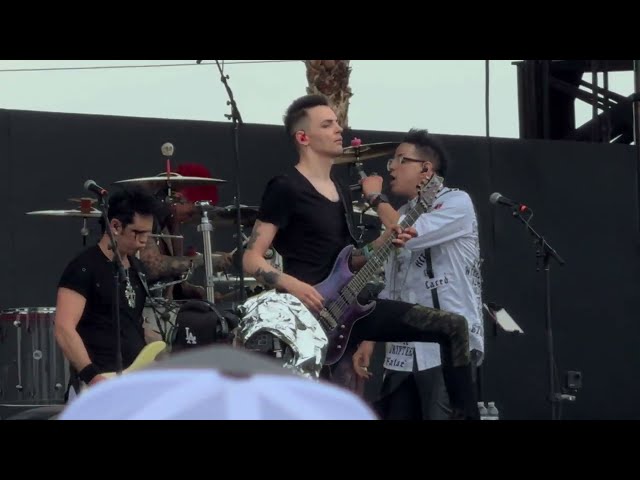 Video preview