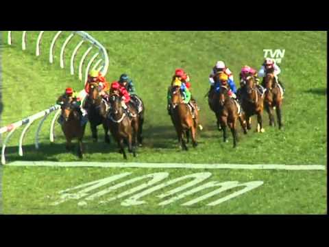 2012 Golden Rose Stakes - Epaulette.